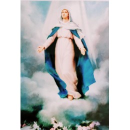 Magnet Fecioara Maria